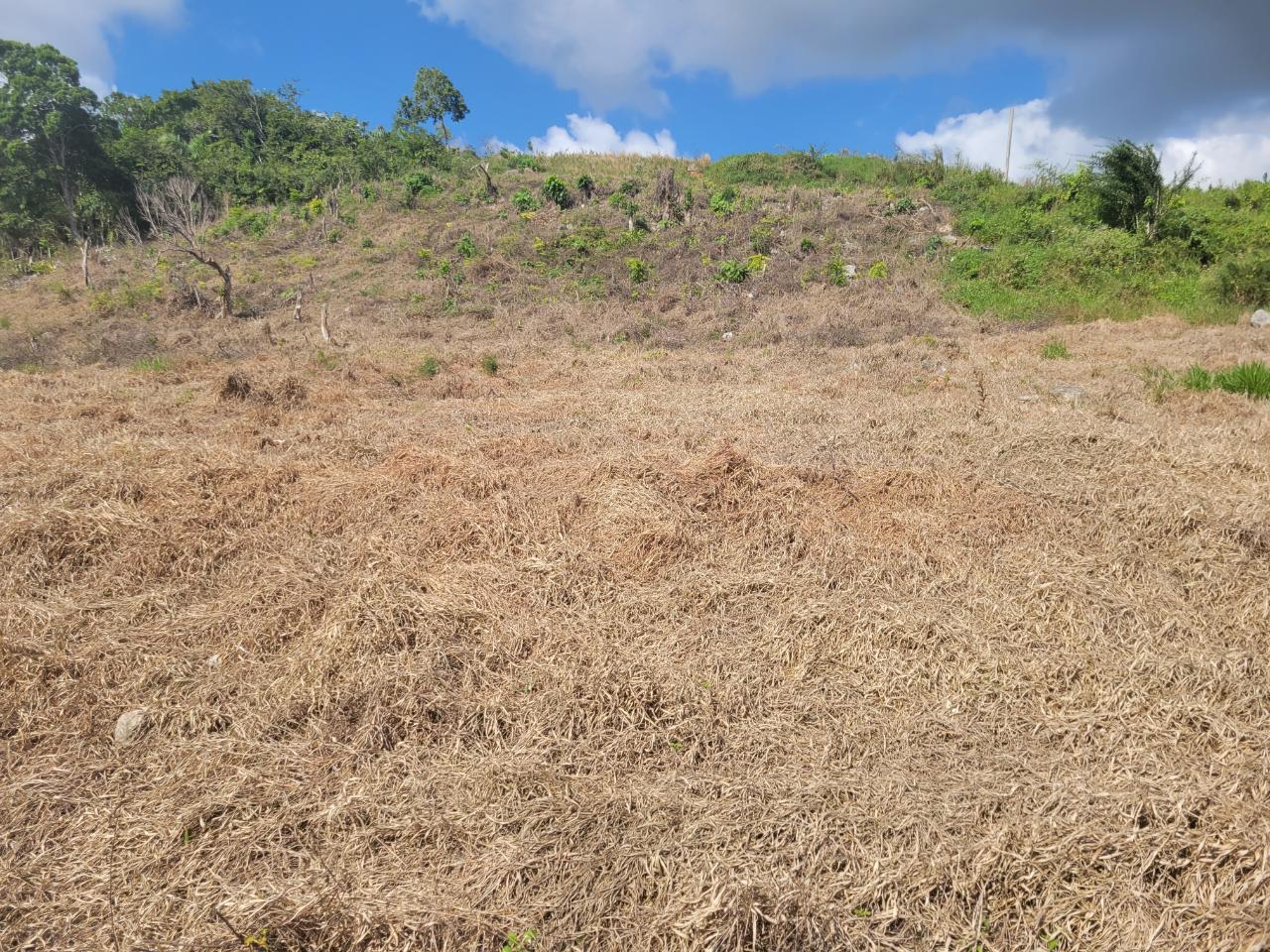 Fourth image of Lot 32 May Day in May Day, Manchester, Jamaica - property is For Sale