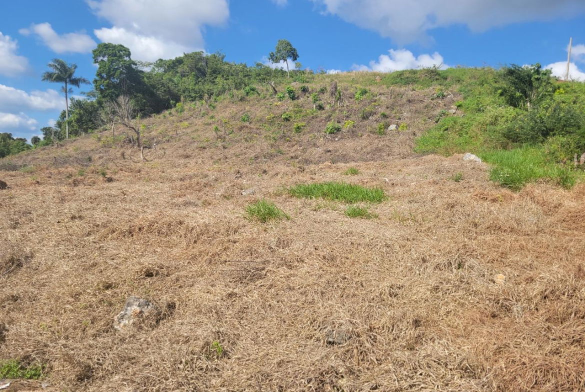 Fifth image of Lot 32 May Day in May Day, Manchester, Jamaica - property is For Sale