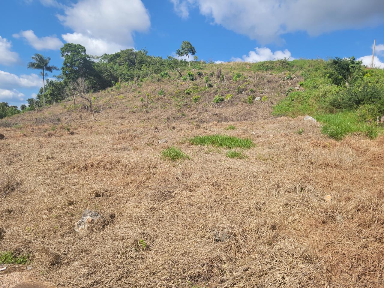 Fifth image of Lot 32 May Day in May Day, Manchester, Jamaica - property is For Sale