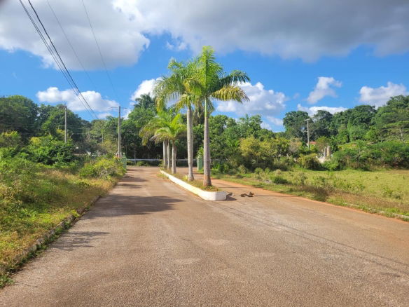 First image of Lot 32 May Day in May Day, Manchester, Jamaica - property is For Sale