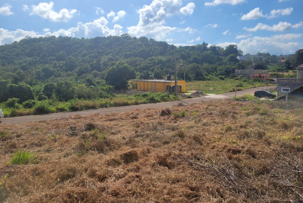 Seventh image of Lot 32 May Day in May Day, Manchester, Jamaica - property is For Sale