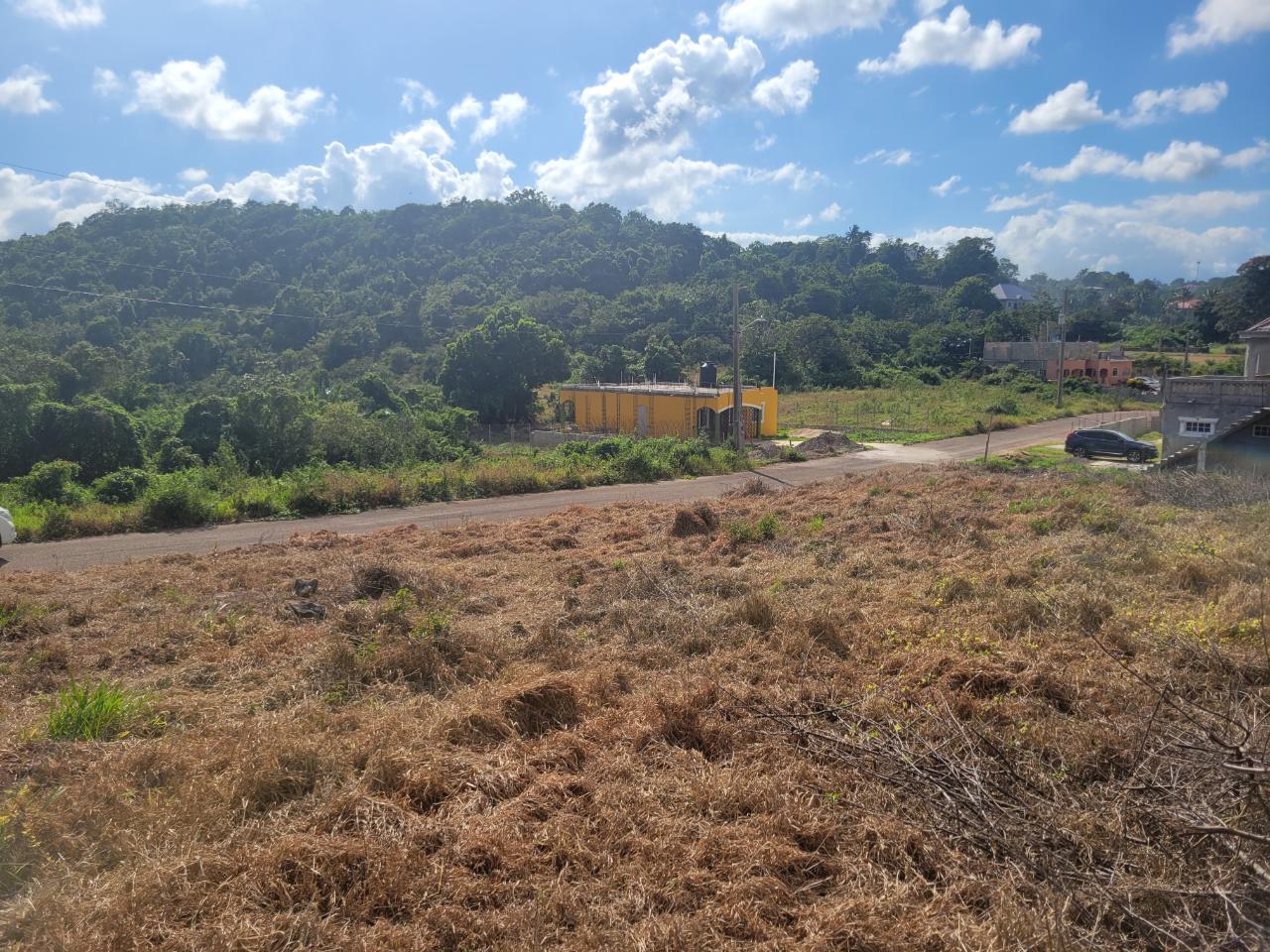 Seventh image of Lot 32 May Day in May Day, Manchester, Jamaica - property is For Sale