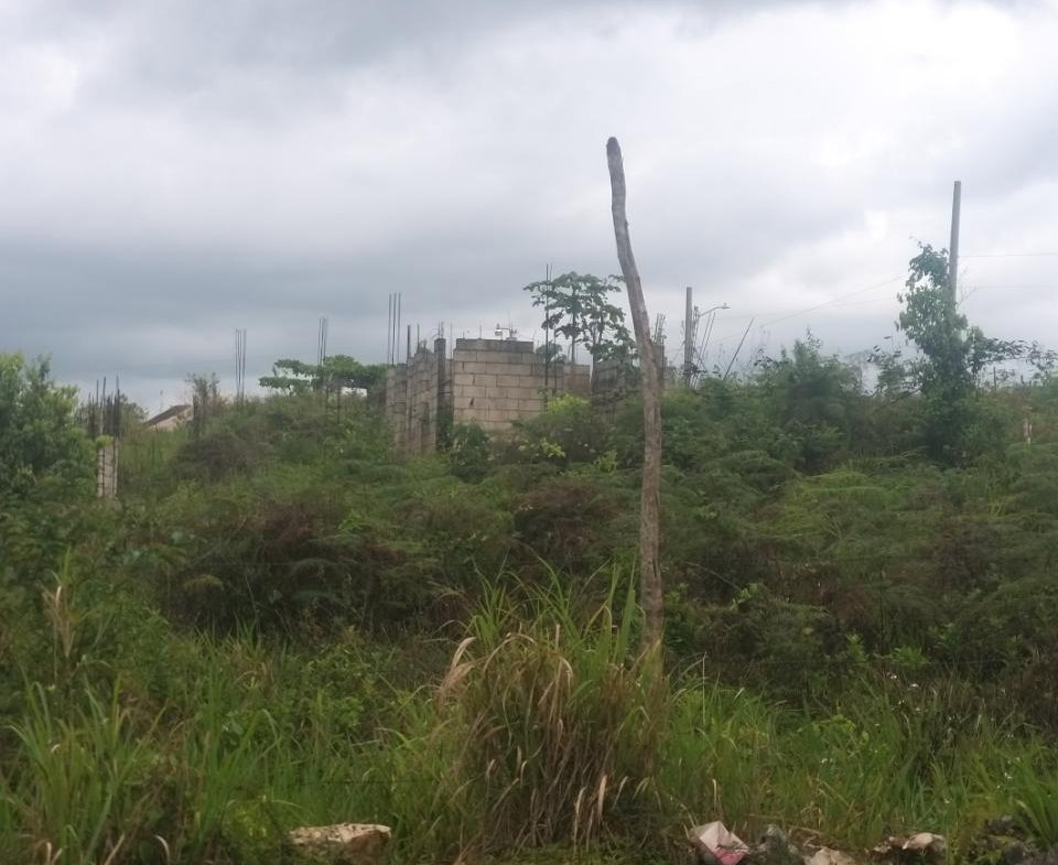 Eighth image of Lot 96 Victoria Close in Newport, Manchester, Jamaica - property is For Sale
