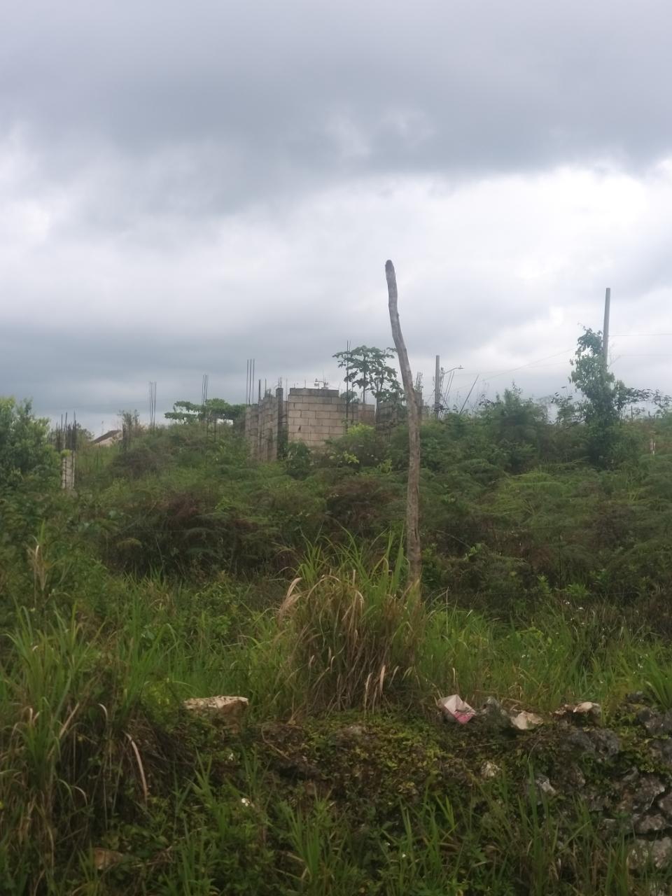Eighth image of Lot 96 Victoria Close in Newport, Manchester, Jamaica - property is For Sale