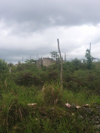 Eighth image of Lot 96 Victoria Close in Newport, Manchester, Jamaica - property is For Sale