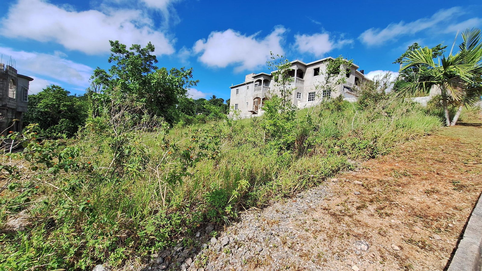 Fourth image of Lot 10 May Day Acres in May Day, Manchester, Jamaica - property is For Sale