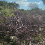 First image of 4- Wilson Pen in Cross Keys, Manchester, Jamaica - property is For Sale