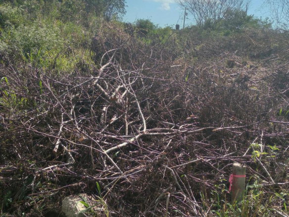 First image of 4- Wilson Pen in Cross Keys, Manchester, Jamaica - property is For Sale