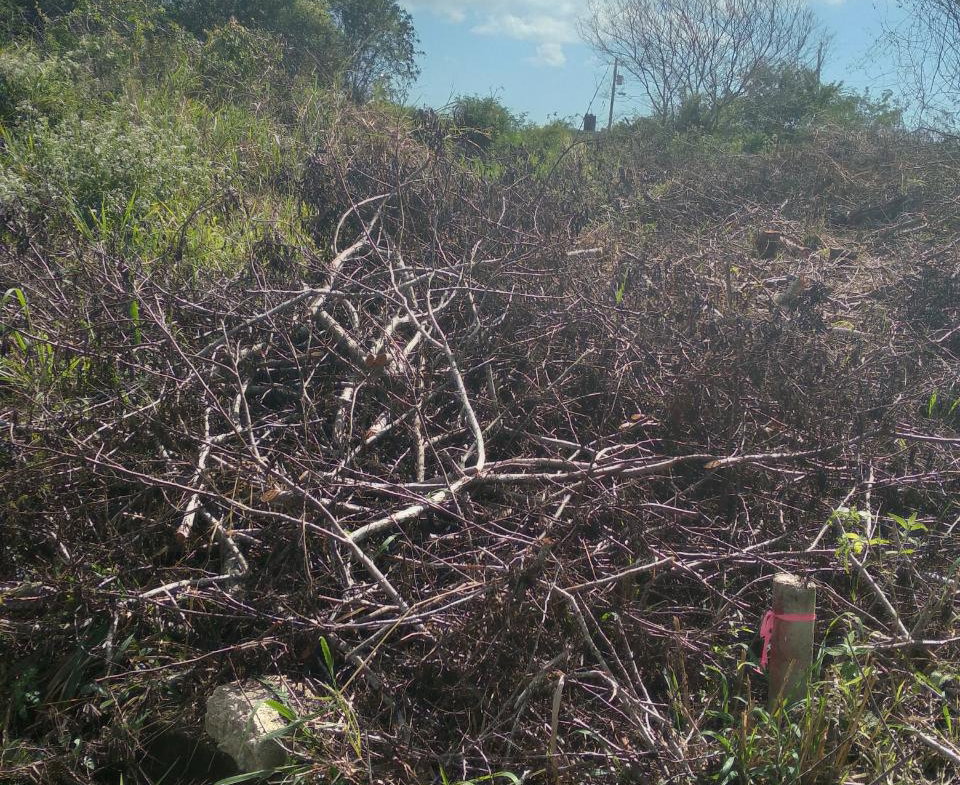 First image of 4- Wilson Pen in Cross Keys, Manchester, Jamaica - property is For Sale