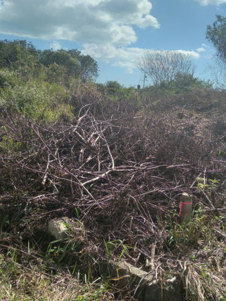 First image of 4- Wilson Pen in Cross Keys, Manchester, Jamaica - property is For Sale