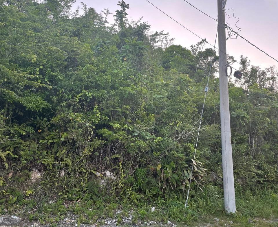 Second image of 5 Woodlawn Close in Woodlawn Grove, Manchester, Jamaica - property is For Sale