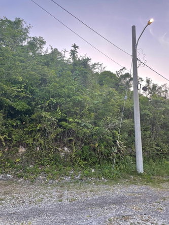 Second image of 5 Woodlawn Close in Woodlawn Grove, Manchester, Jamaica - property is For Sale