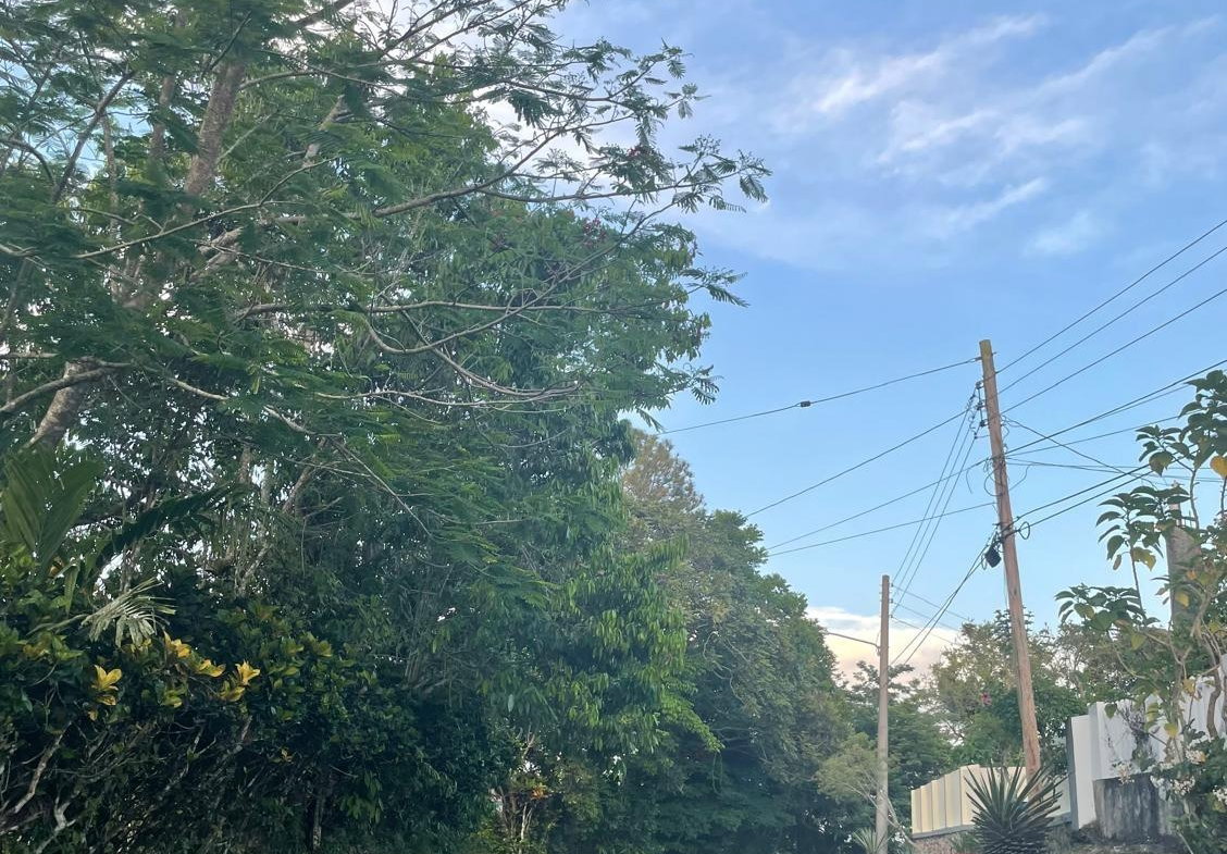 First image of 5 Woodlawn Close in Woodlawn Grove, Manchester, Jamaica - property is For Sale