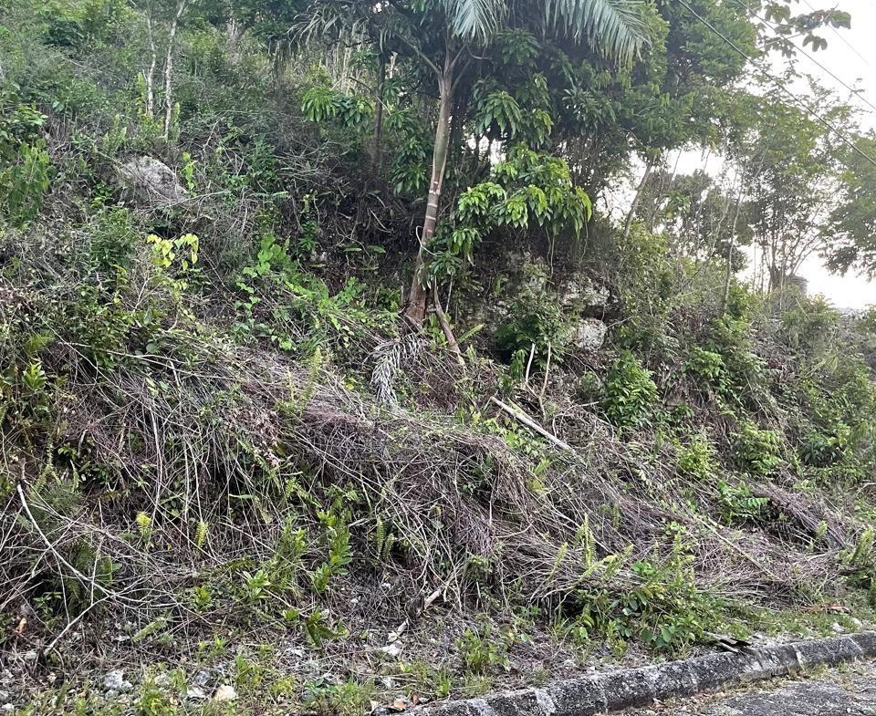 Third image of 5 Woodlawn Close in Woodlawn Grove, Manchester, Jamaica - property is For Sale