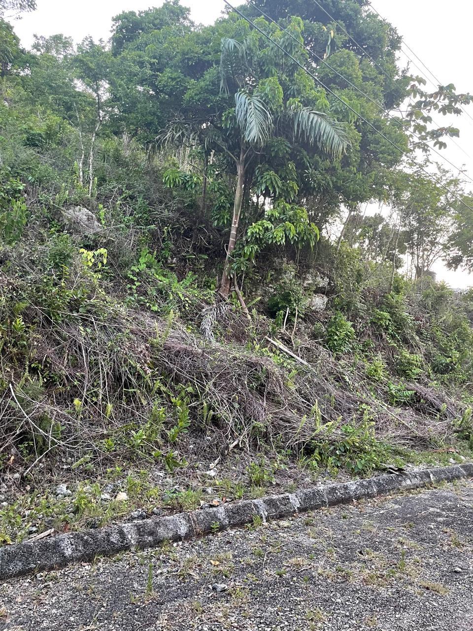 Third image of 5 Woodlawn Close in Woodlawn Grove, Manchester, Jamaica - property is For Sale