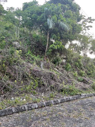 Third image of 5 Woodlawn Close in Woodlawn Grove, Manchester, Jamaica - property is For Sale