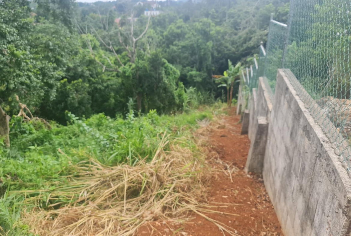 Second image of Begonia Drive in Mandeville, Manchester, Jamaica - property is For Sale