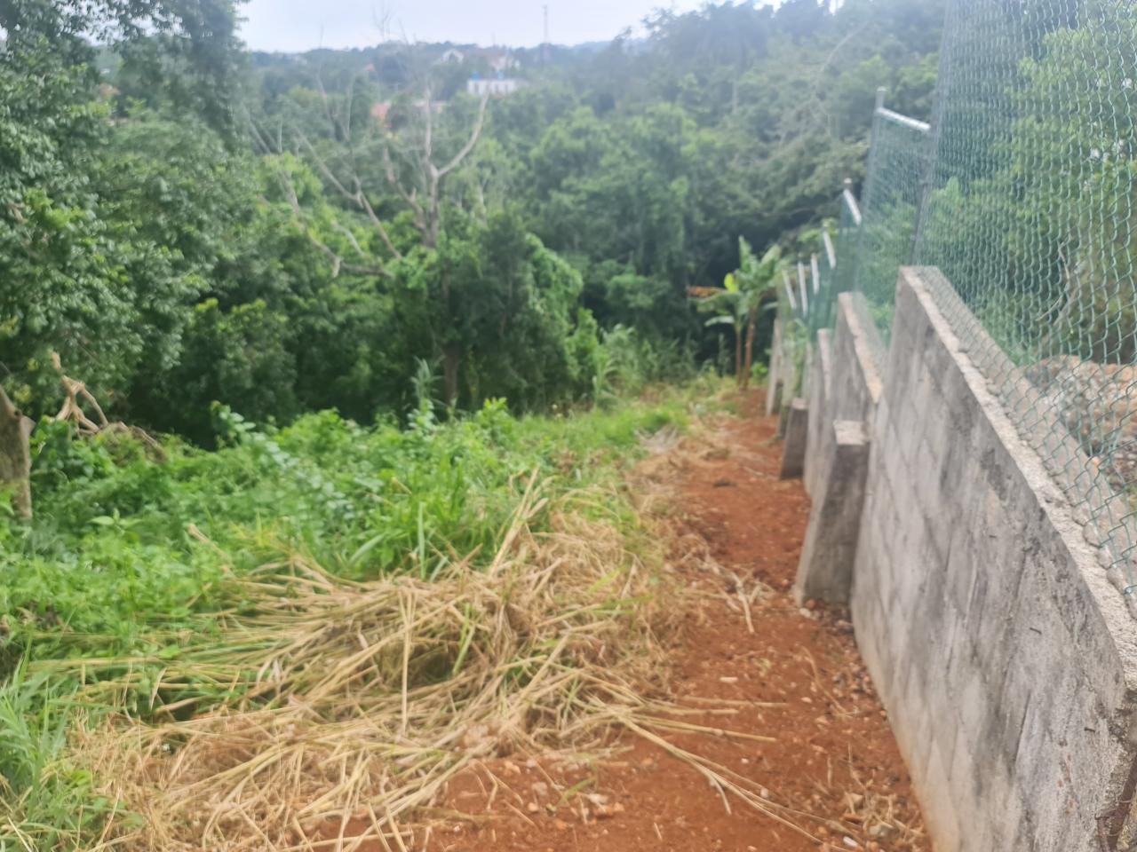 Residential-Lot-for-Sale-in-Mandeville-Jamaica-Ideal-for-Split-Level-Home Second image of Begonia Drive in Mandeville, Manchester, Jamaica - property is For Sale