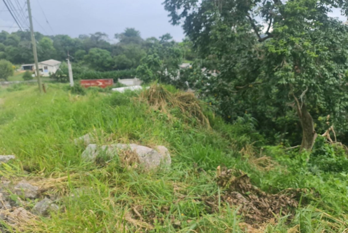 Third image of Begonia Drive in Mandeville, Manchester, Jamaica - property is For Sale