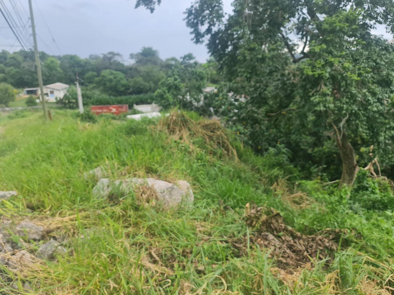 Residential-Lot-for-Sale-in-Mandeville-Jamaica-Ideal-for-Split-Level-Home Third image of Begonia Drive in Mandeville, Manchester, Jamaica - property is For Sale