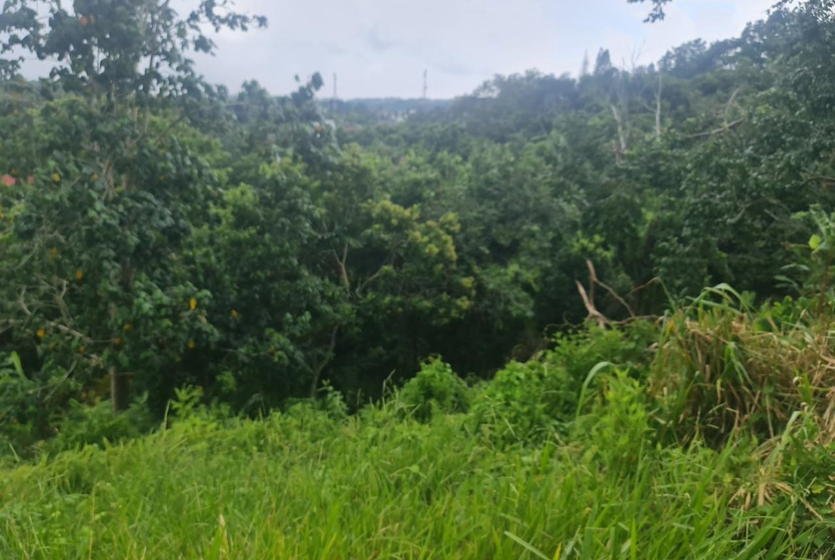 Fifth image of Begonia Drive in Mandeville, Manchester, Jamaica - property is For Sale
