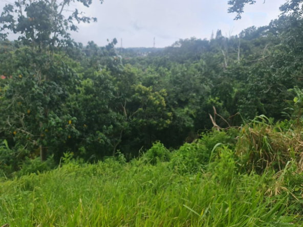 Fifth image of Begonia Drive in Mandeville, Manchester, Jamaica - property is For Sale