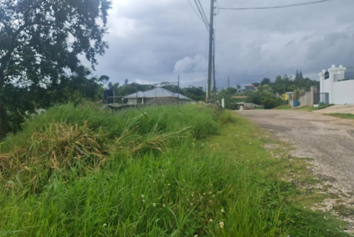 Sixth image of Begonia Drive in Mandeville, Manchester, Jamaica - property is For Sale