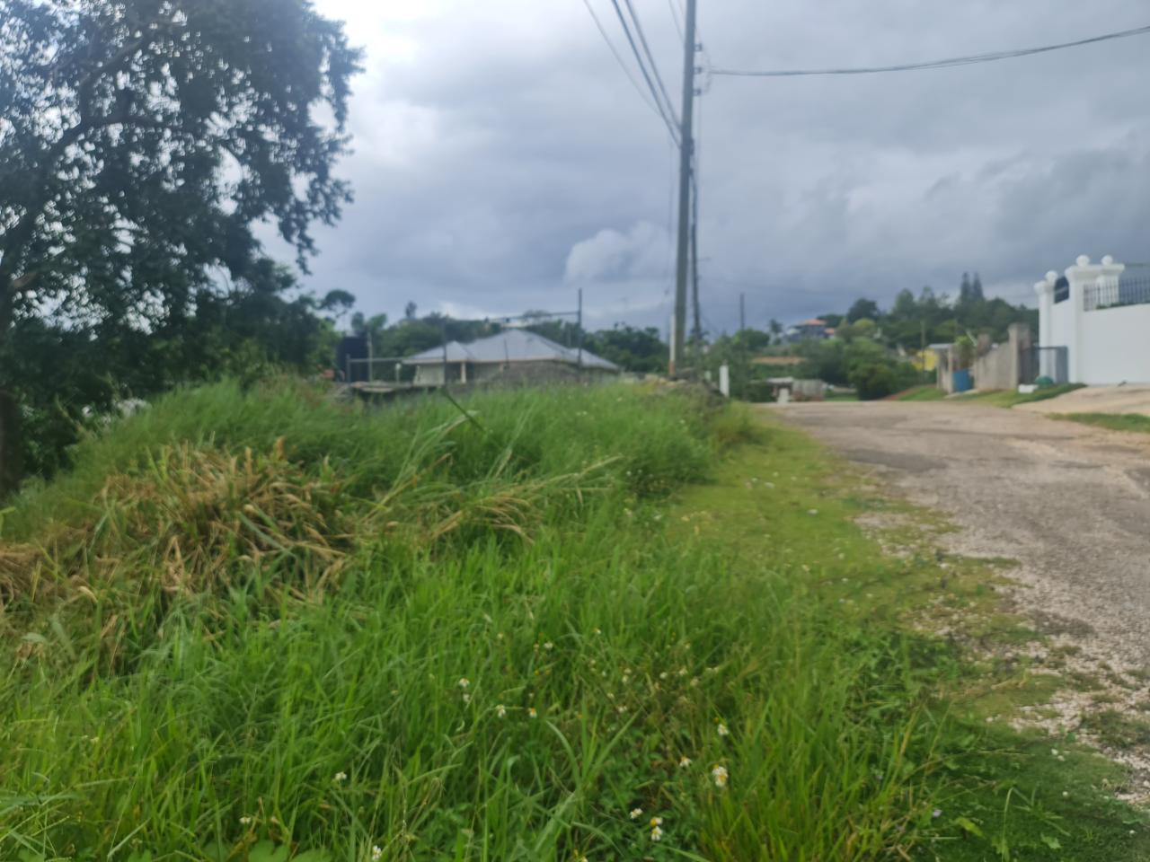 Residential-Lot-for-Sale-in-Mandeville-Jamaica-Ideal-for-Split-Level-Home Sixth image of Begonia Drive in Mandeville, Manchester, Jamaica - property is For Sale