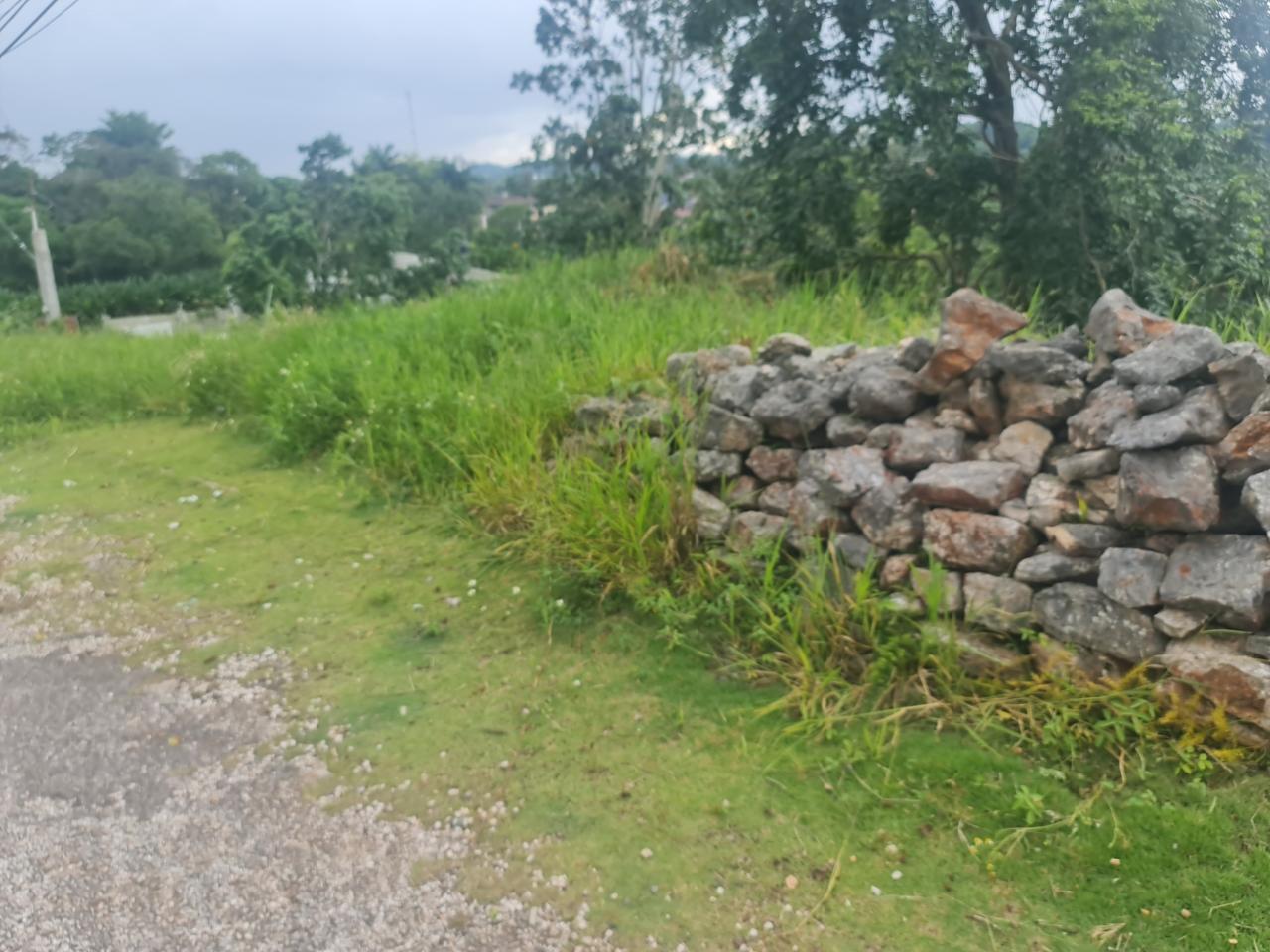 Residential-Lot-for-Sale-in-Mandeville-Jamaica-Ideal-for-Split-Level-Home First image of Begonia Drive in Mandeville, Manchester, Jamaica - property is For Sale