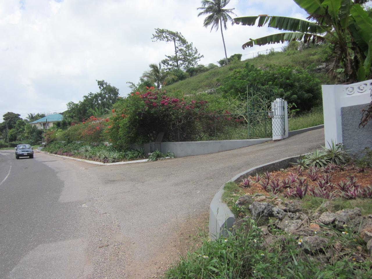 Residential-Lot-for-Sale-in-Mandeville-Jamaica-Lot-1-34-Decarteret-Road Second image of Lot 1-34 Decarteret Road in Mandeville, Manchester, Jamaica - property is For Sale