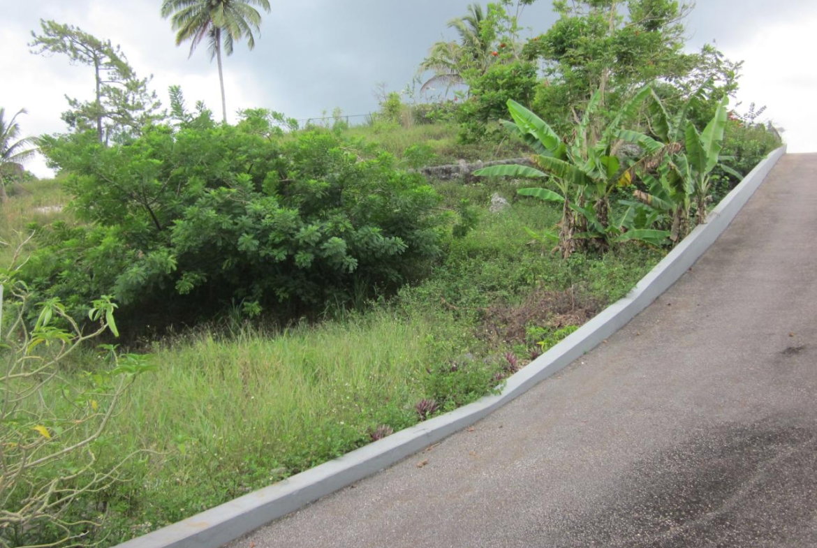 Third image of Lot 1-34 Decarteret Road in Mandeville, Manchester, Jamaica - property is For Sale