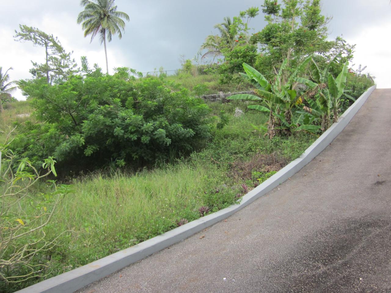 Residential-Lot-for-Sale-in-Mandeville-Jamaica-Lot-1-34-Decarteret-Road Third image of Lot 1-34 Decarteret Road in Mandeville, Manchester, Jamaica - property is For Sale
