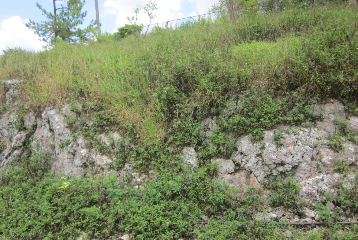 Fourth image of Lot 1-34 Decarteret Road in Mandeville, Manchester, Jamaica - property is For Sale