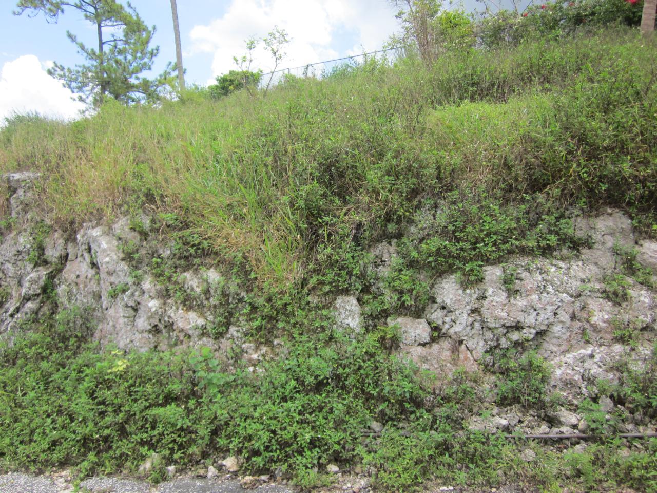 Residential-Lot-for-Sale-in-Mandeville-Jamaica-Lot-1-34-Decarteret-Road Fourth image of Lot 1-34 Decarteret Road in Mandeville, Manchester, Jamaica - property is For Sale
