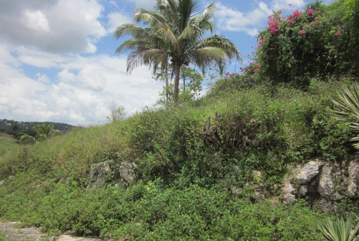 Fifth image of Lot 1-34 Decarteret Road in Mandeville, Manchester, Jamaica - property is For Sale