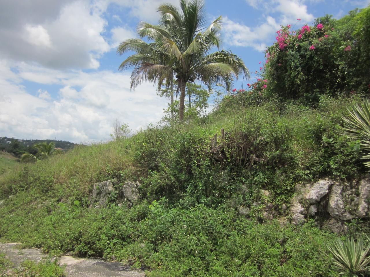 Residential-Lot-for-Sale-in-Mandeville-Jamaica-Lot-1-34-Decarteret-Road Fifth image of Lot 1-34 Decarteret Road in Mandeville, Manchester, Jamaica - property is For Sale