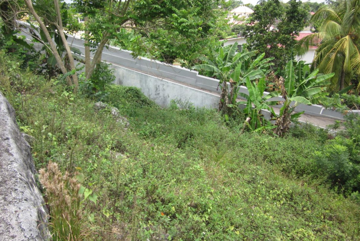 Sixth image of Lot 1-34 Decarteret Road in Mandeville, Manchester, Jamaica - property is For Sale