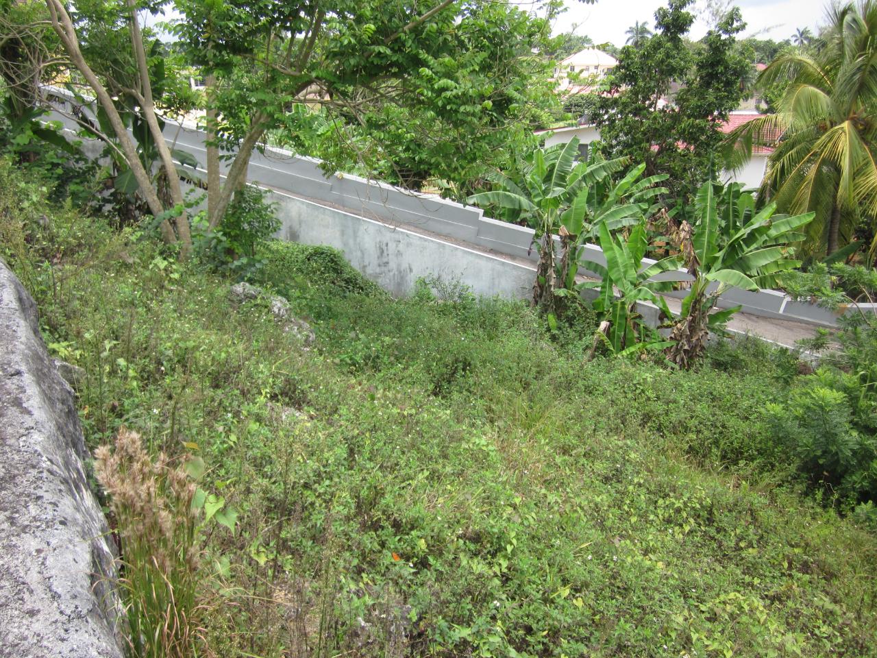 Residential-Lot-for-Sale-in-Mandeville-Jamaica-Lot-1-34-Decarteret-Road Sixth image of Lot 1-34 Decarteret Road in Mandeville, Manchester, Jamaica - property is For Sale