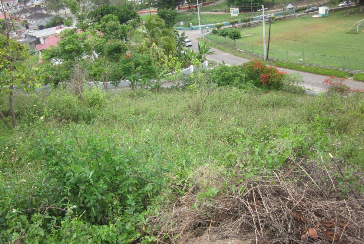 Seventh image of Lot 1-34 Decarteret Road in Mandeville, Manchester, Jamaica - property is For Sale