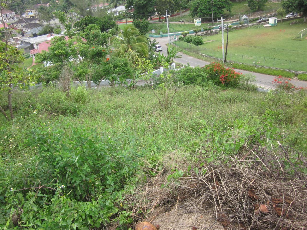 Residential-Lot-for-Sale-in-Mandeville-Jamaica-Lot-1-34-Decarteret-Road Seventh image of Lot 1-34 Decarteret Road in Mandeville, Manchester, Jamaica - property is For Sale