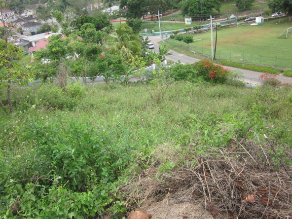 Seventh image of Lot 1-34 Decarteret Road in Mandeville, Manchester, Jamaica - property is For Sale