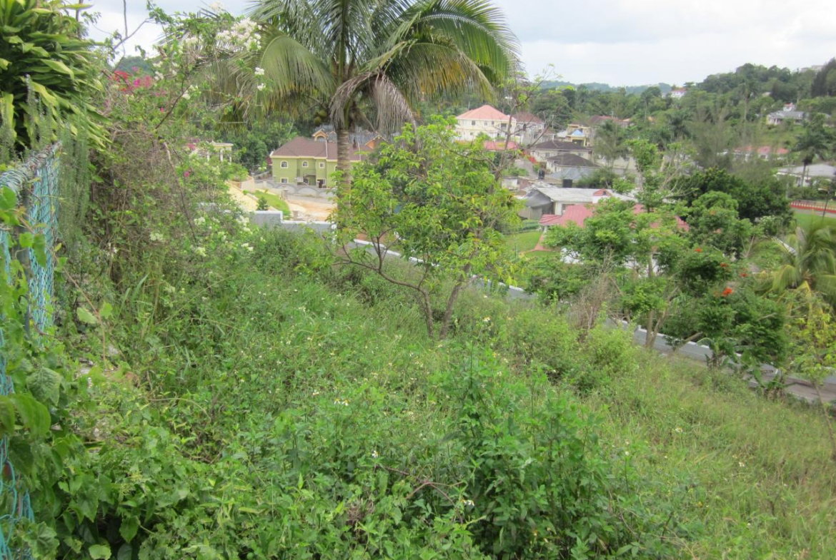 Eighth image of Lot 1-34 Decarteret Road in Mandeville, Manchester, Jamaica - property is For Sale