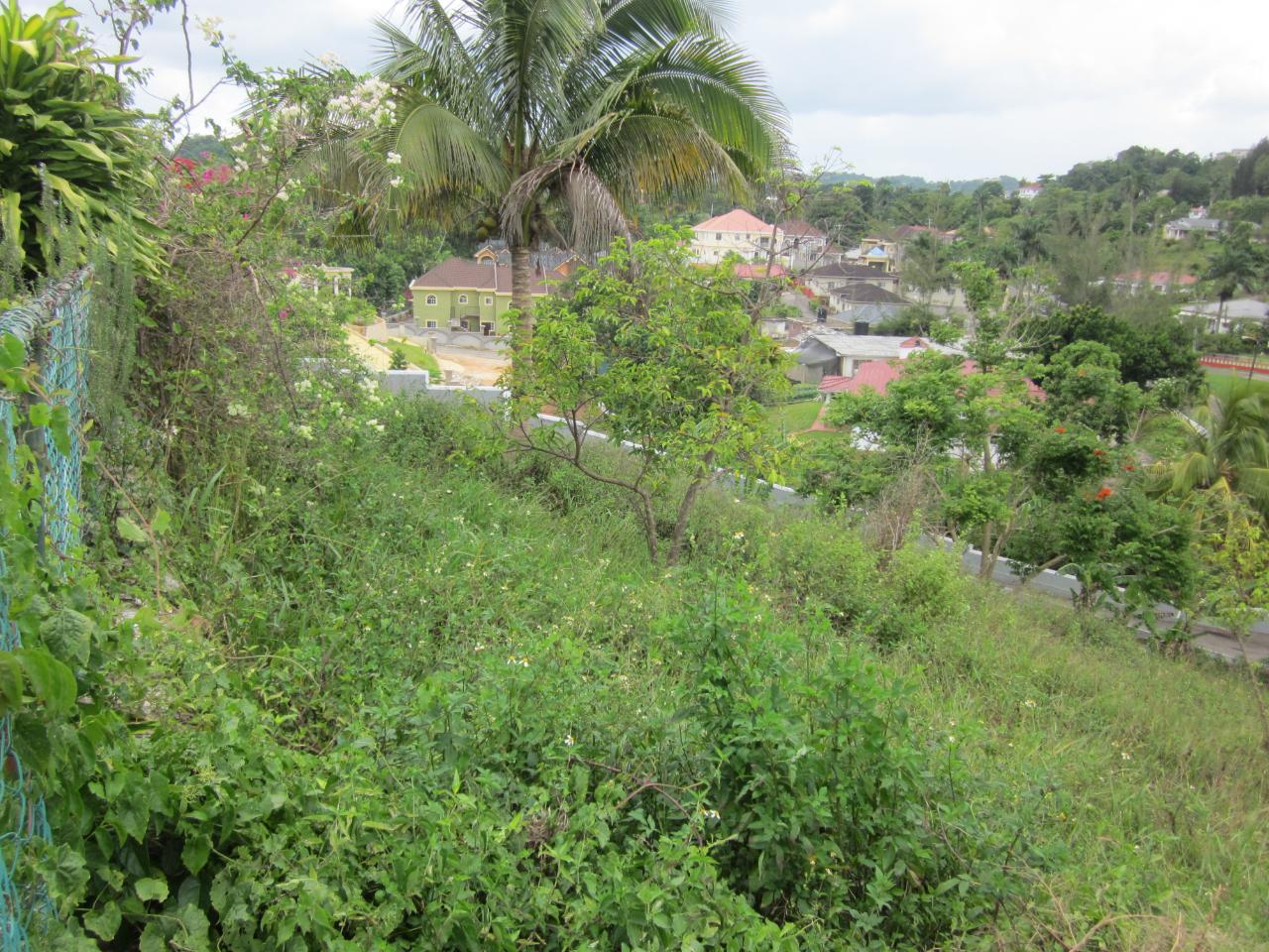 Residential-Lot-for-Sale-in-Mandeville-Jamaica-Lot-1-34-Decarteret-Road Eighth image of Lot 1-34 Decarteret Road in Mandeville, Manchester, Jamaica - property is For Sale