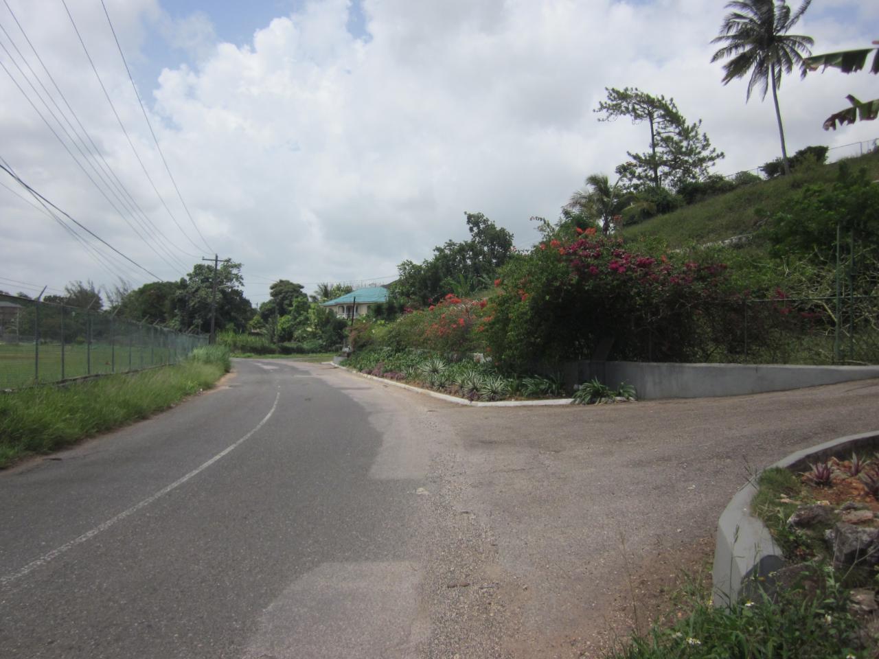 Residential-Lot-for-Sale-in-Mandeville-Jamaica-Lot-1-34-Decarteret-Road First image of Lot 1-34 Decarteret Road in Mandeville, Manchester, Jamaica - property is For Sale