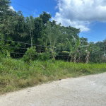 First image of 43-43 Marvins Park White River in Marvins Park, St. Ann, Jamaica - property is For Sale