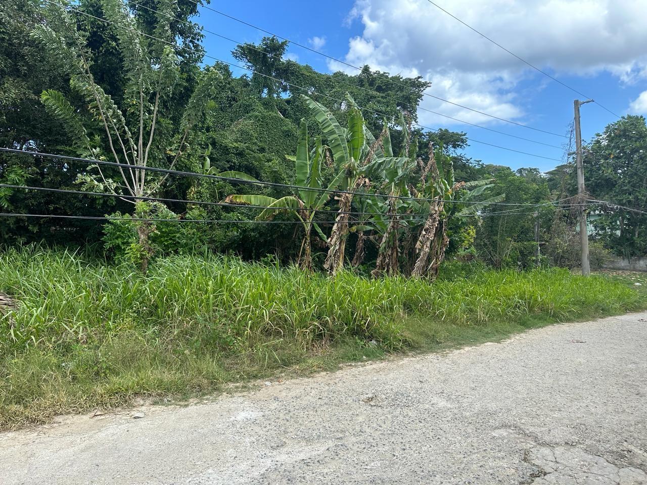 Third image of 43-43 Marvins Park White River in Marvins Park, St. Ann, Jamaica - property is For Sale