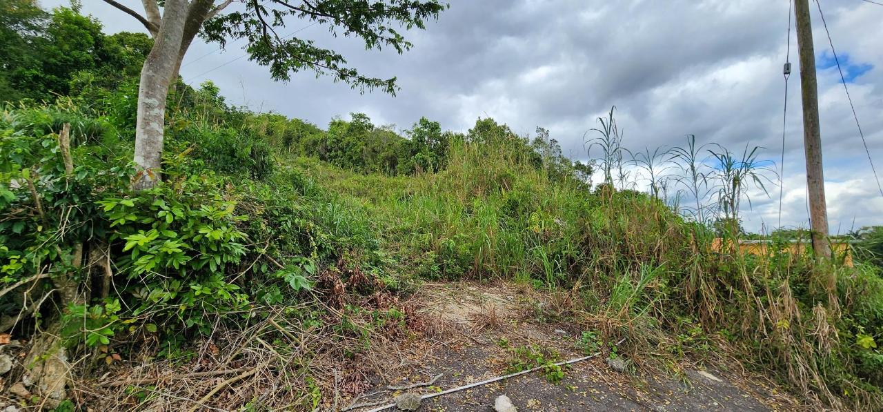 Residential-Lot-for-Sale-in-May-Day-Manchester-Jamaica Second image of May Day Plantation in May Day, Manchester, Jamaica - property is For Sale
