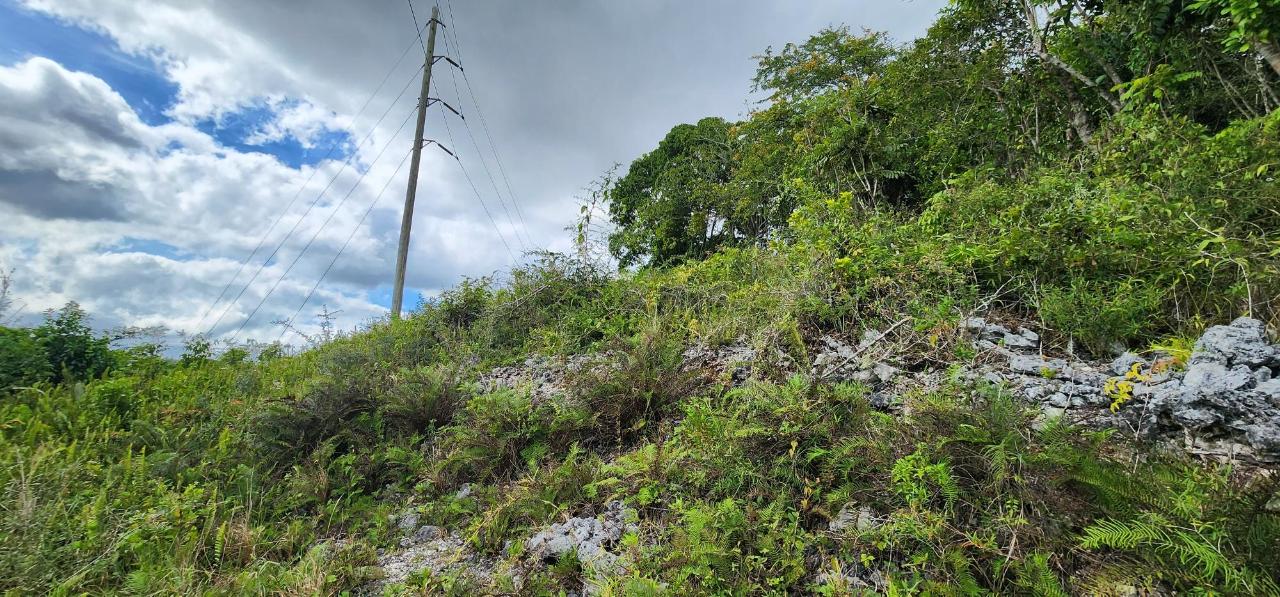 Residential-Lot-for-Sale-in-May-Day-Manchester-Jamaica Eleventh image of May Day Plantation in May Day, Manchester, Jamaica - property is For Sale