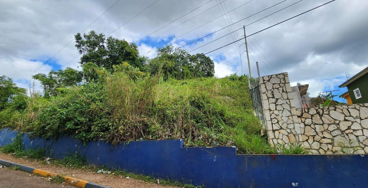 First image of May Day Plantation in May Day, Manchester, Jamaica - property is For Sale
