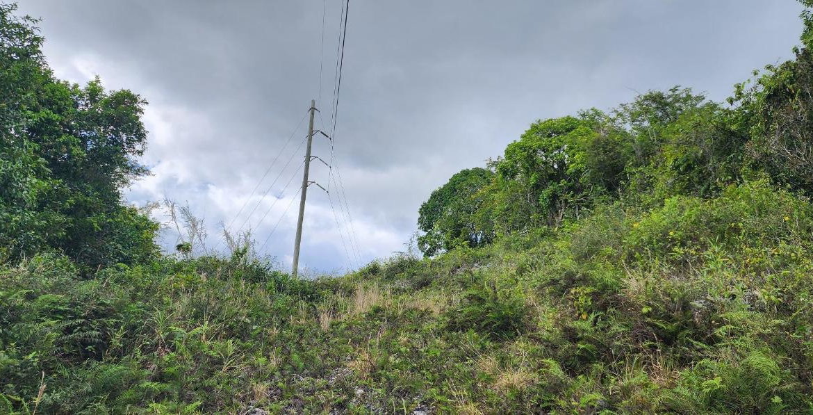 Thirteenth image of May Day Plantation in May Day, Manchester, Jamaica - property is For Sale